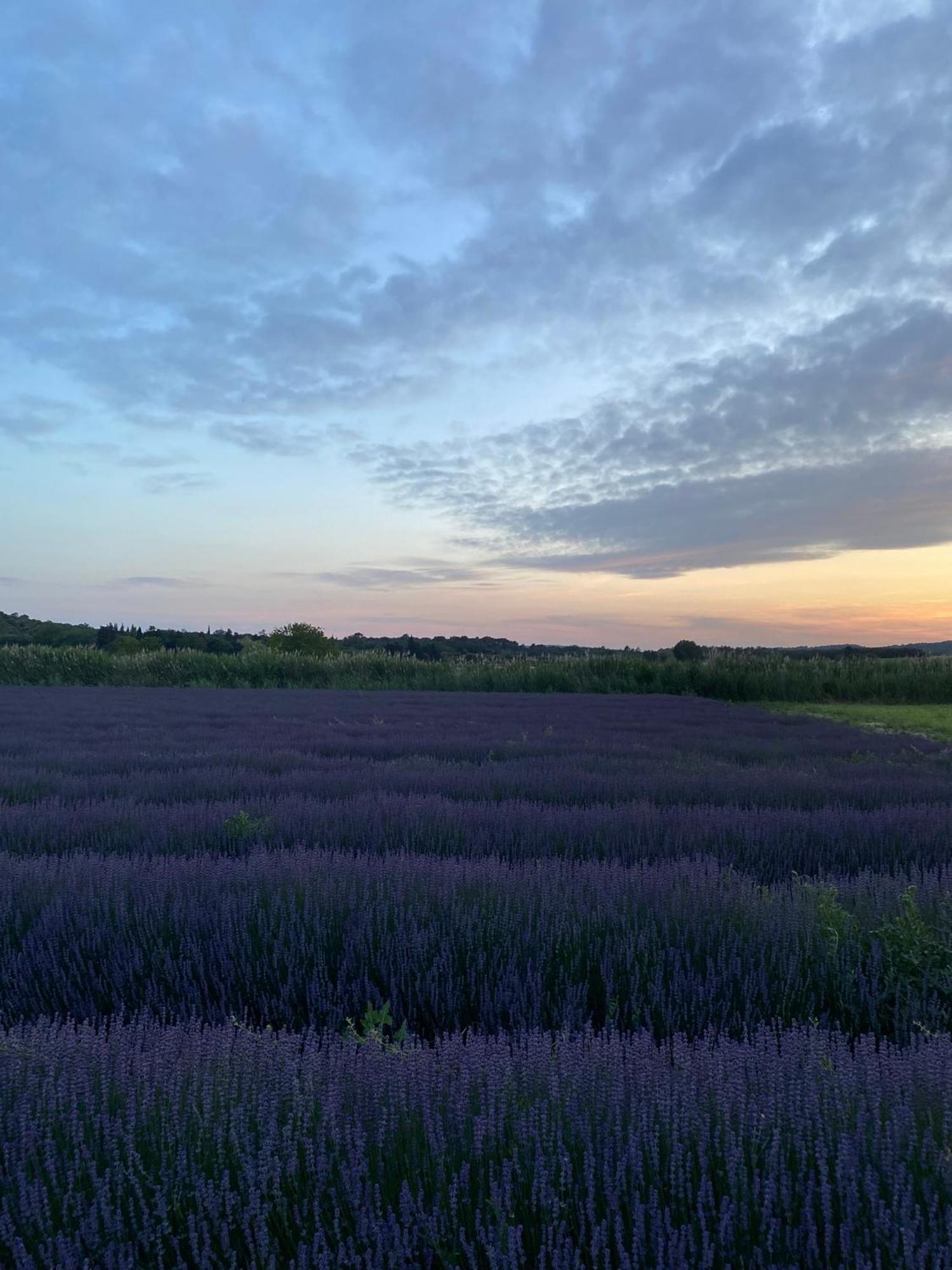 Le Moulin De Bed & Breakfast