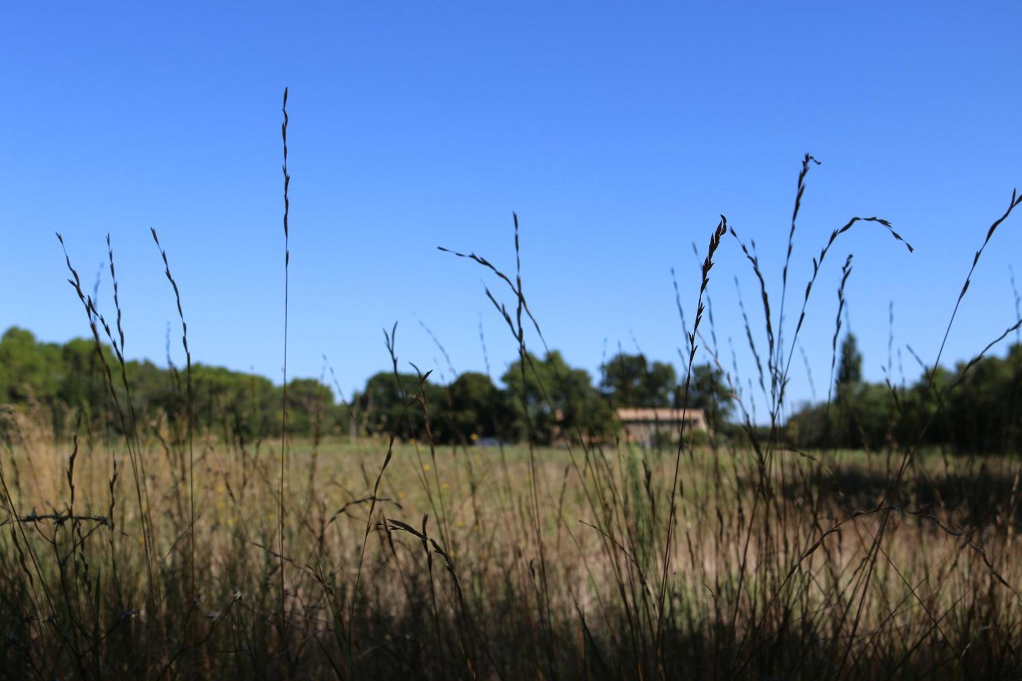 Bed and breakfast Le Moulin De